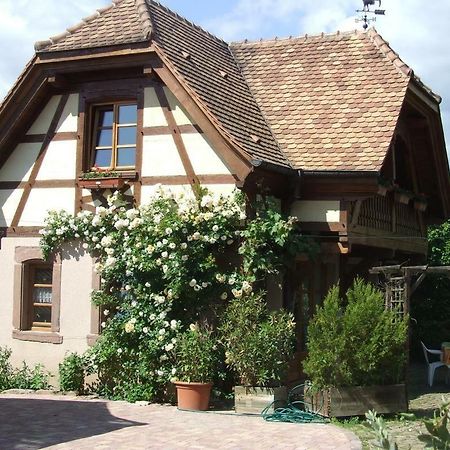 Gite Les Cerisiers Triembach-au-Val Buitenkant foto