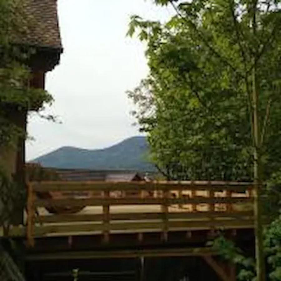 Gite Les Cerisiers Triembach-au-Val Buitenkant foto