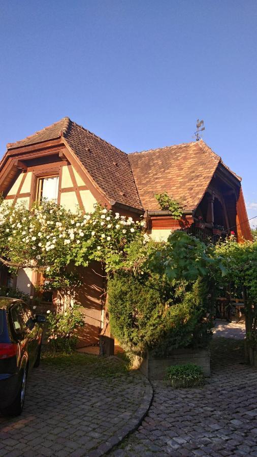 Gite Les Cerisiers Triembach-au-Val Buitenkant foto