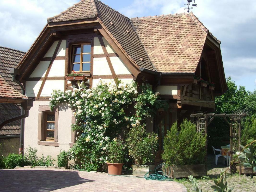 Gite Les Cerisiers Triembach-au-Val Buitenkant foto